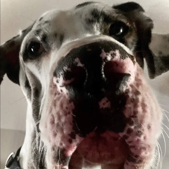 Meet your Posher, Denise - Picture 3 of 16